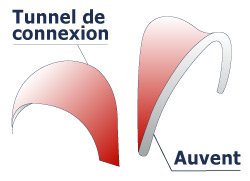 Tunnel de connexion entièrement personnalisable reliant deux tentes gonflables